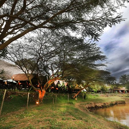 Mara River Lodge Aitong Dış mekan fotoğraf