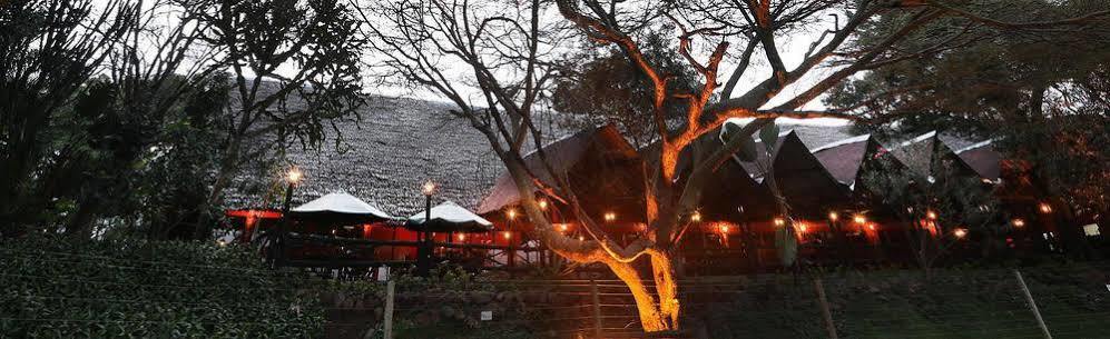 Mara River Lodge Aitong Dış mekan fotoğraf